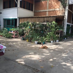 Composta Orgánica - Tienen un perrito guardián :)