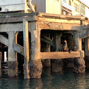 Discovery Whale Watch - Whale Watching Tours Near Me - Monterey, California