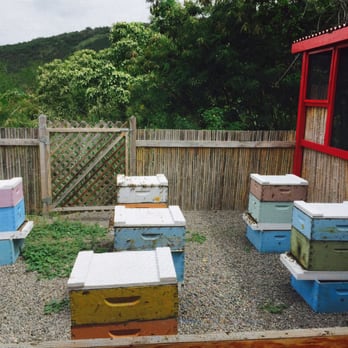 Big Island Bees - Working hives - Honey Near Me - Captain Cook, Hawaii Big Island Bees - Working hives - Honey Near Me - Captain Cook, Hawaii