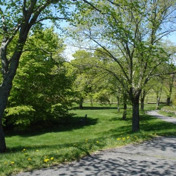 Dartmouth Common - Dog Parks Near Me - Halifax, Nova Scotia