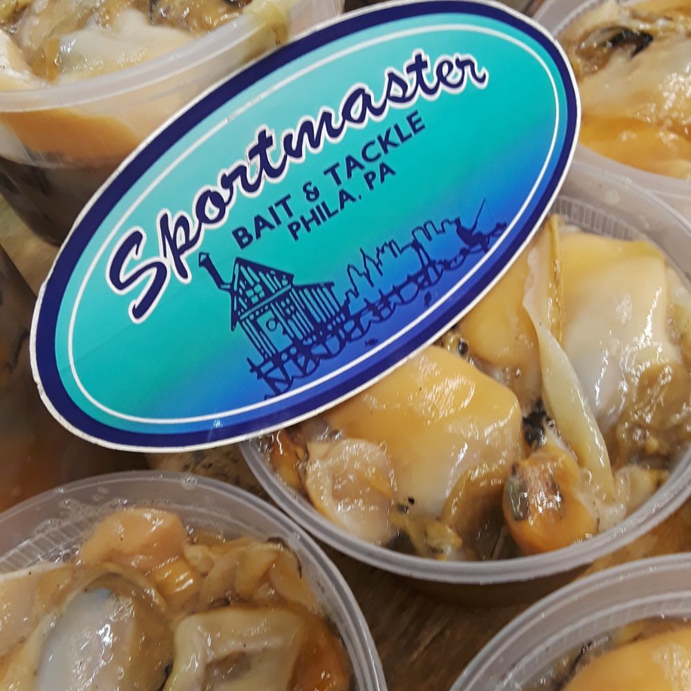 Sportmaster bait and tackle Clearance