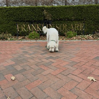 Franklin Square - Parks Near Me - Philadelphia, Pennsylvania