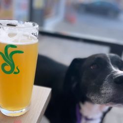 Antifragile Brewing