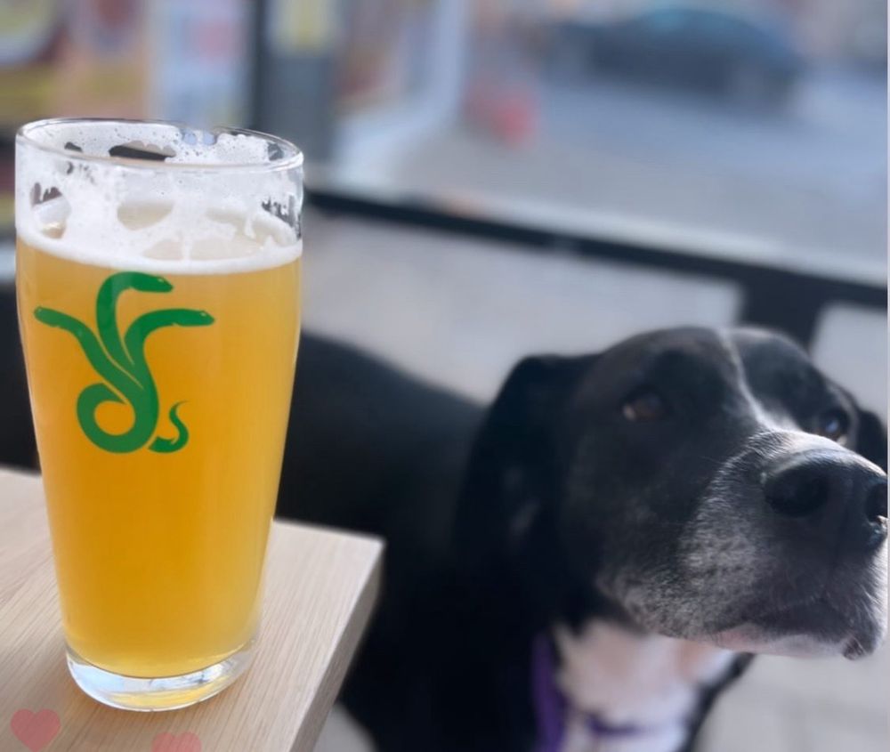 Food from Antifragile Brewing