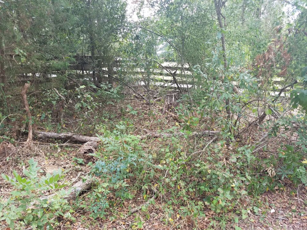 Slide of SCE Landscaping/Tree Service