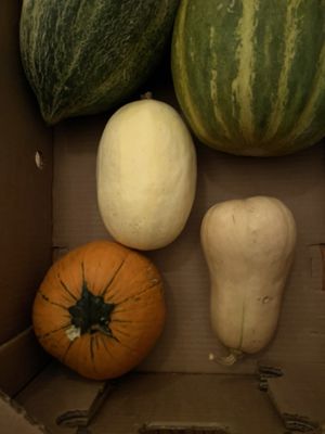 Del Bosque Farms by null