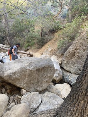 Black Star Canyon Falls Trailhead by null