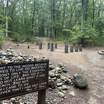 Walden Pond State Reservation - Parks Near Me - Concord, Massachusetts