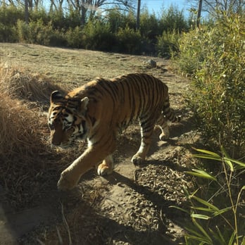 Sedgwick County Zoo - Zoos Near Me - Wichita, Kansas