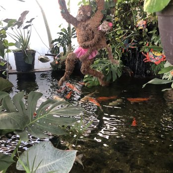 Georgie's Paradise - Nurseries & Gardening Near Me - Miami, Florida Georgie's Paradise - Nurseries & Gardening Near Me - Miami, Florida