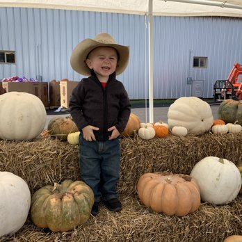 Pumpkin Patch at the Barn - Pumpkin Patches Near Me - Newcastle, Oklahoma Pumpkin Patch at the Barn - Pumpkin Patches Near Me - Newcastle, Oklahoma
