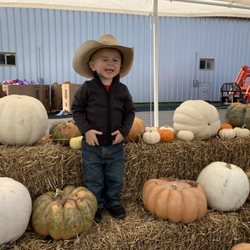 Pumpkin Patch at the Barn