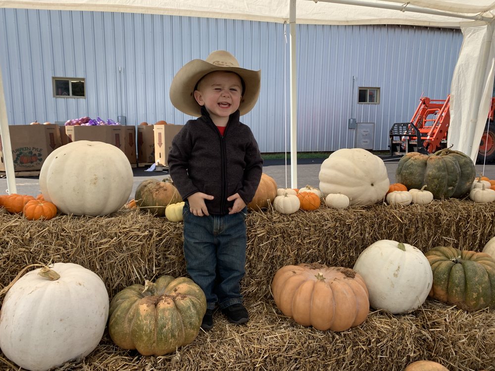 PUMPKIN PATCH AT THE BARN Updated August 2024 1675 NW 32nd St