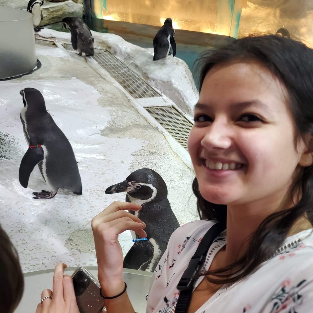 Feed the penguins up-close with selfies. Feed the penguins up-close with selfies.