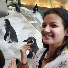 Feed the penguins up-close with selfies.
