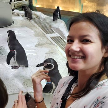 Manila Ocean Park - Feed the penguins up-close with selfies. - Aquariums Near Me - Manila, NCR