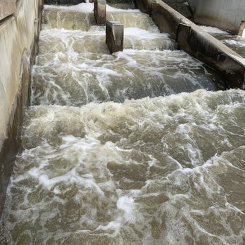 Fish Ladder Park - Fish ladder - Parks Near Me - Grand Rapids, Michigan Fish Ladder Park - Fish ladder - Parks Near Me - Grand Rapids, Michigan