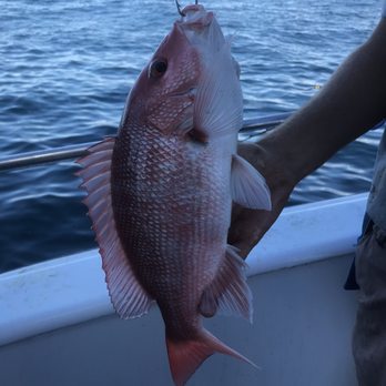 Obsession Fishing Charters - Boat Charters Near Me - Cape Canaveral, Florida Obsession Fishing Charters - Boat Charters Near Me - Cape Canaveral, Florida