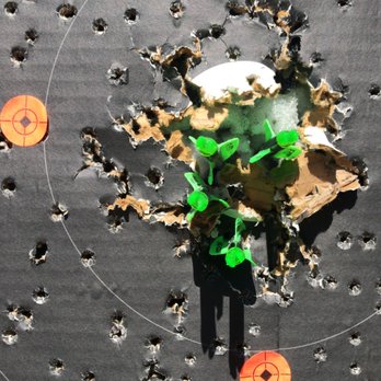 Bow N Arrow Shop - 30 yards adhering to Bruce's tips. - Archery Near Me - Lakeside, California
