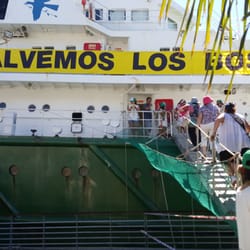 Estación Fluvial - El rompehielos Esperanza de Greenpeace en la Fluvial!