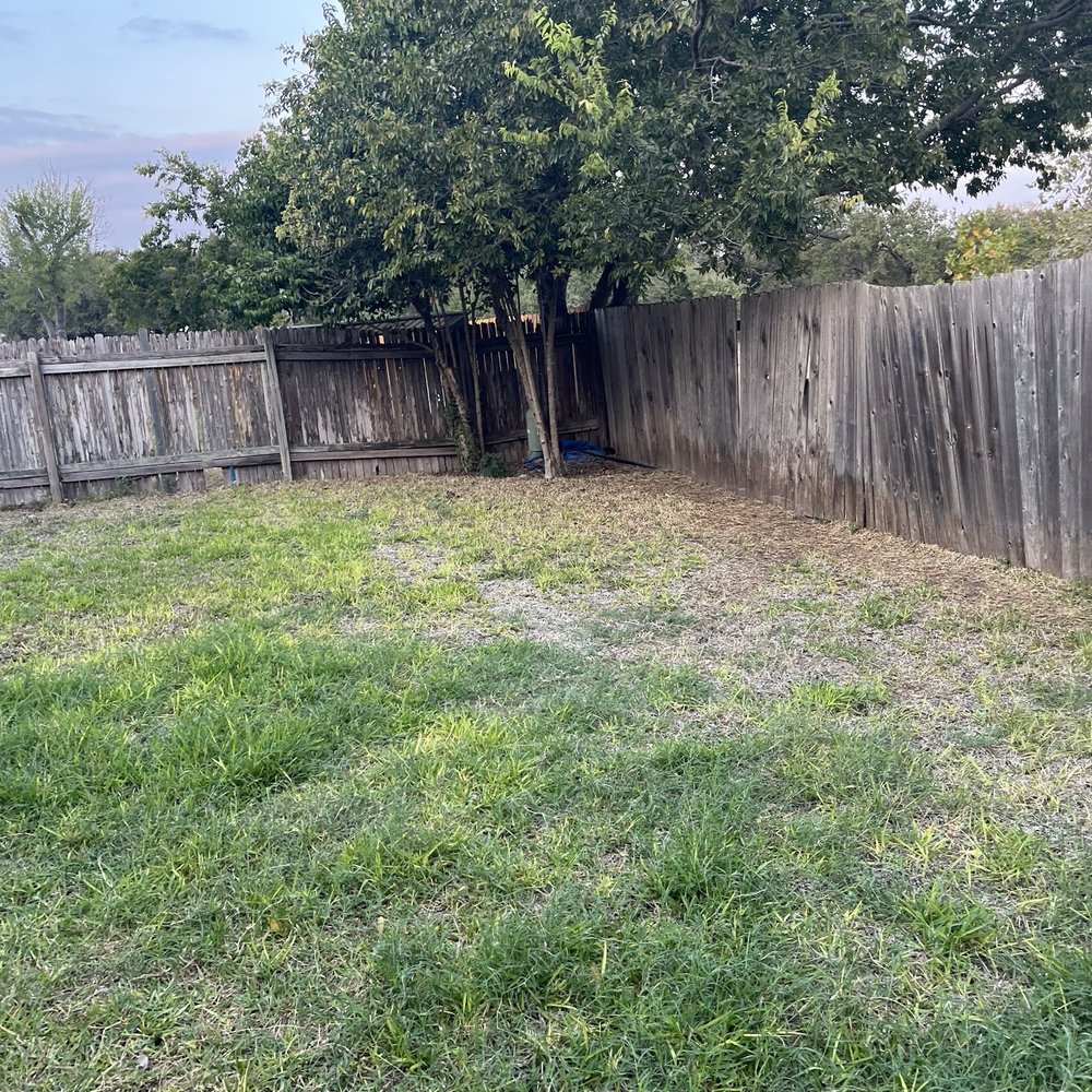 Austex Tree Service - Poor sod installation - Tree Services Near Me - Round Rock, Texas Austex Tree Service - Poor sod installation - Tree Services Near Me - Round Rock, Texas