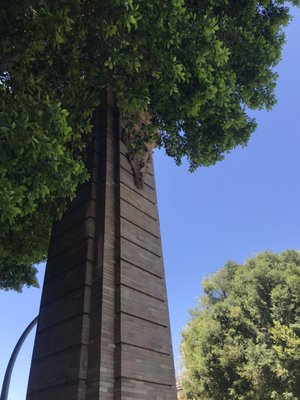 Parque de María Luisa by null