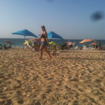 Ocean Park Beach - Beach is dog-friendly...woof! woof! - Beaches Near Me - San Juan, Puerto Rico Ocean Park Beach - Beach is dog-friendly...woof! woof! - Beaches Near Me - San Juan, Puerto Rico