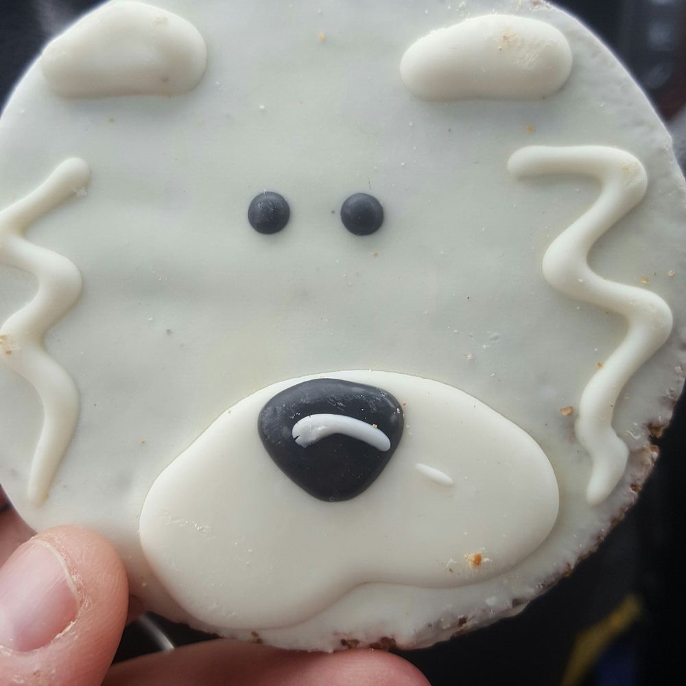 Siers Feed & Pet Supply - Super cute cookies at the check out-I had to get Oliver one of course! - Pet Stores Near Me - Elgin, Illinois Siers Feed & Pet Supply - Super cute cookies at the check out-I had to get Oliver one of course! - Pet Stores Near Me - Elgin, Illinois
