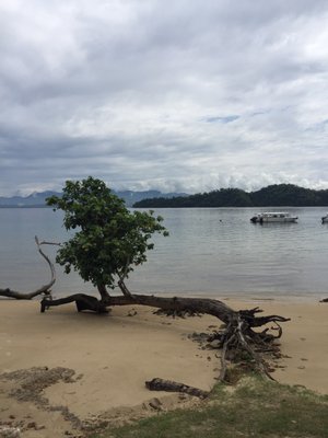 Gaya Island Resort by null