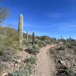 Pass Mountain Loop Trail - So pretty