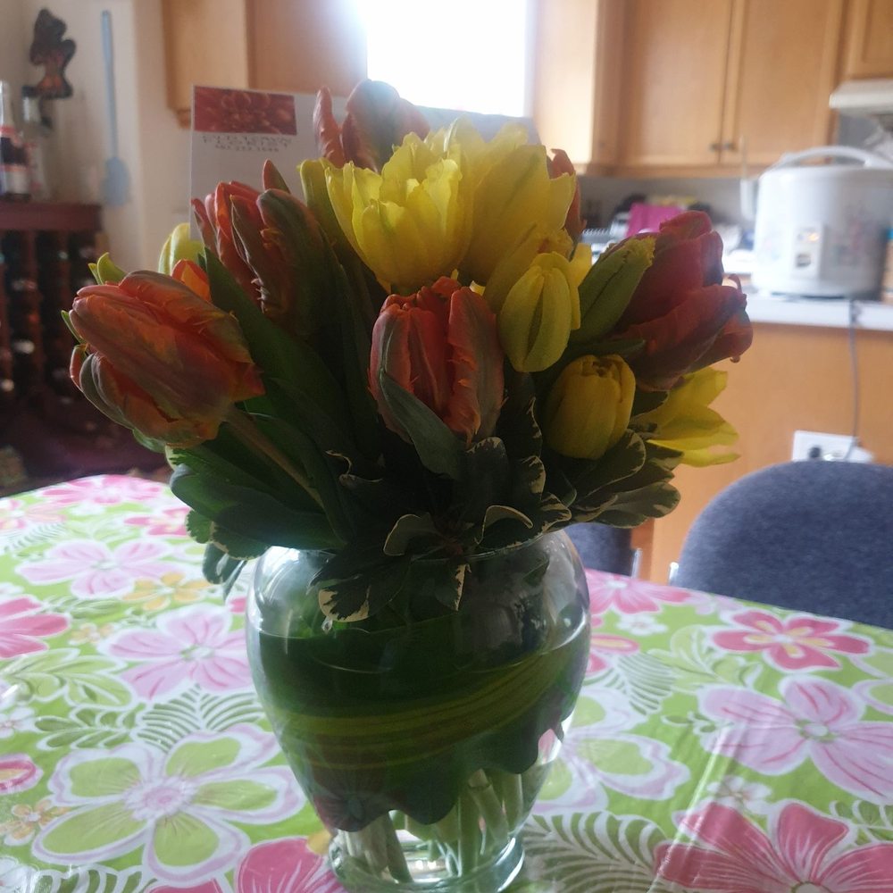 Old Town Florist - Florists Near Me - Portland, Oregon Old Town Florist - Florists Near Me - Portland, Oregon
