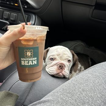 Southern Bean - Iced mocha with 2% milk - Coffee & Tea Near Me - Hattiesburg, Mississippi