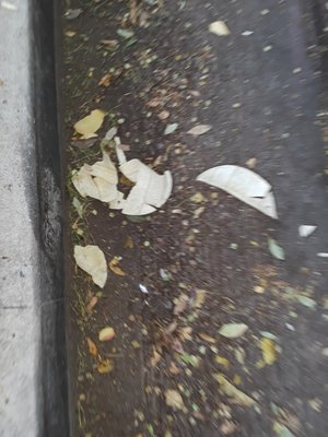 Precise Roofing Logo