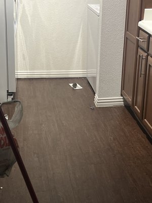 The Lanesborough by null