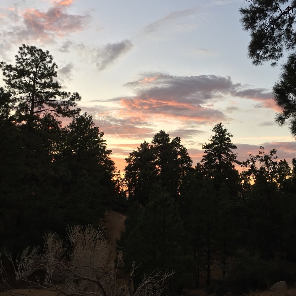 Hualapai Mountain Park - Hiking Near Me - Kingman, Arizona Hualapai Mountain Park - Hiking Near Me - Kingman, Arizona