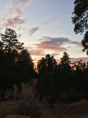Hualapai Mountain Park Campground by null