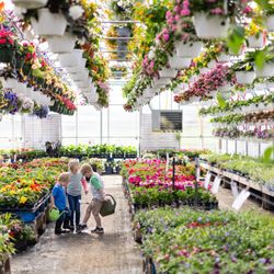 Thompson Produce