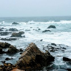 Asilomar State Marine Reserve