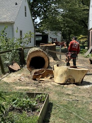 Stump Removal - Feel free to reach out for a quote today!