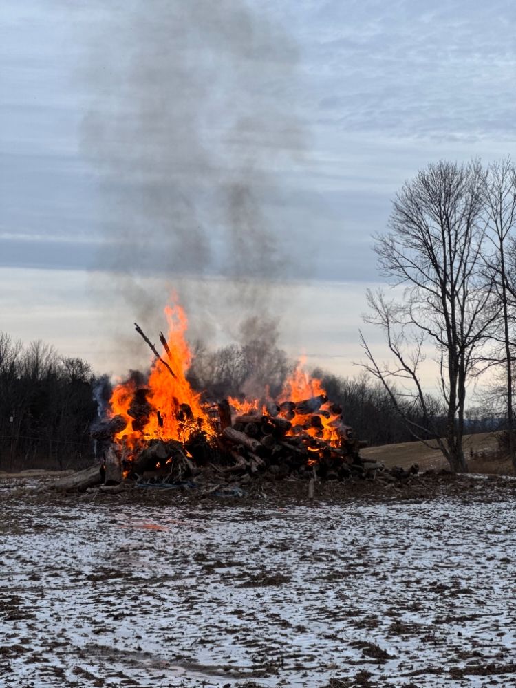 North East Septic & Excavating - septic in Sparta, NJ