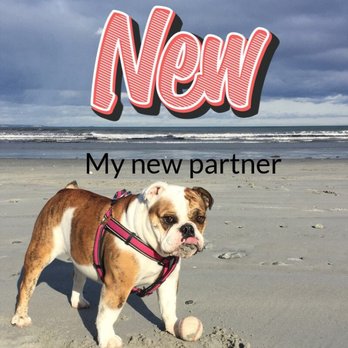 Bulldog Construction - This is my new cutie. - Handyman Near Me - Nahant, Massachusetts