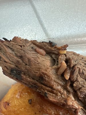 Fritanga Cana Brava by null