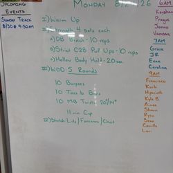 CrossFit Intellect - The approach was basically, "I am going to describe these exercises, then go do them on your own."