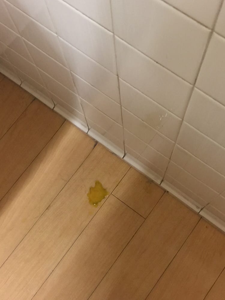 HORIZON WOMEN’S HEALTH Updated August 2024 33 Reviews 3005 W