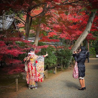Sankeien Garden by null