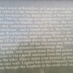 Carrickahowley Castle