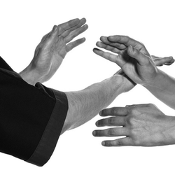 Lishi Tai Chi, Qi Ging & Kung Fu