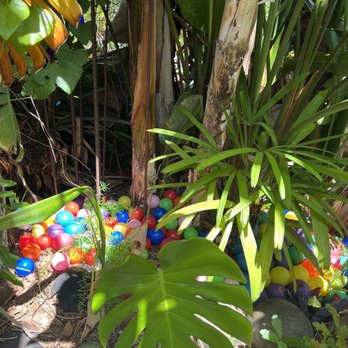 Whimzeyland - Art Tours Near Me - Safety Harbor, Florida Whimzeyland - Art Tours Near Me - Safety Harbor, Florida