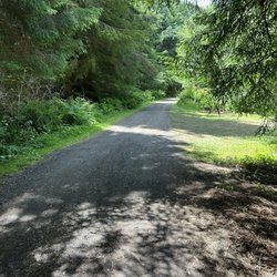 Mystic Forest RV Park - Road to back campsites.