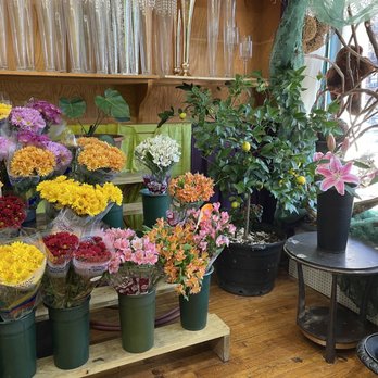 Rose Island Florist - Florists Near Me - Brooklyn, New York Rose Island Florist - Florists Near Me - Brooklyn, New York